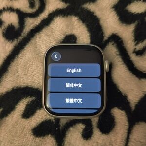 Apple Smartwatch - Silver and Black